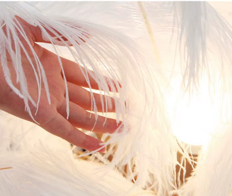 مصباح أرضي بتصميم ريش النعام